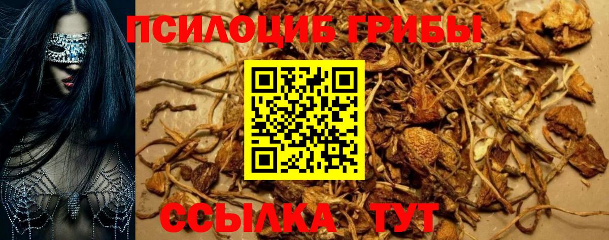 Большой Камень  Псилоцибиновые грибы Magic Shrooms  Вход с VPN 
